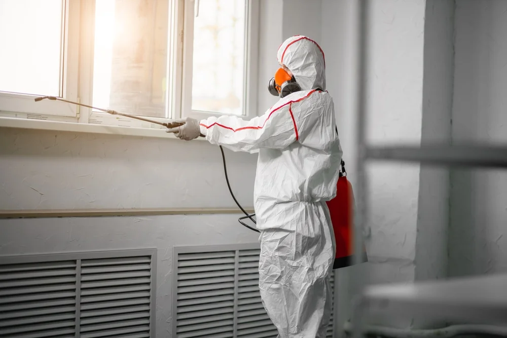 Professional mold remediation services in Clear Lake, MN
